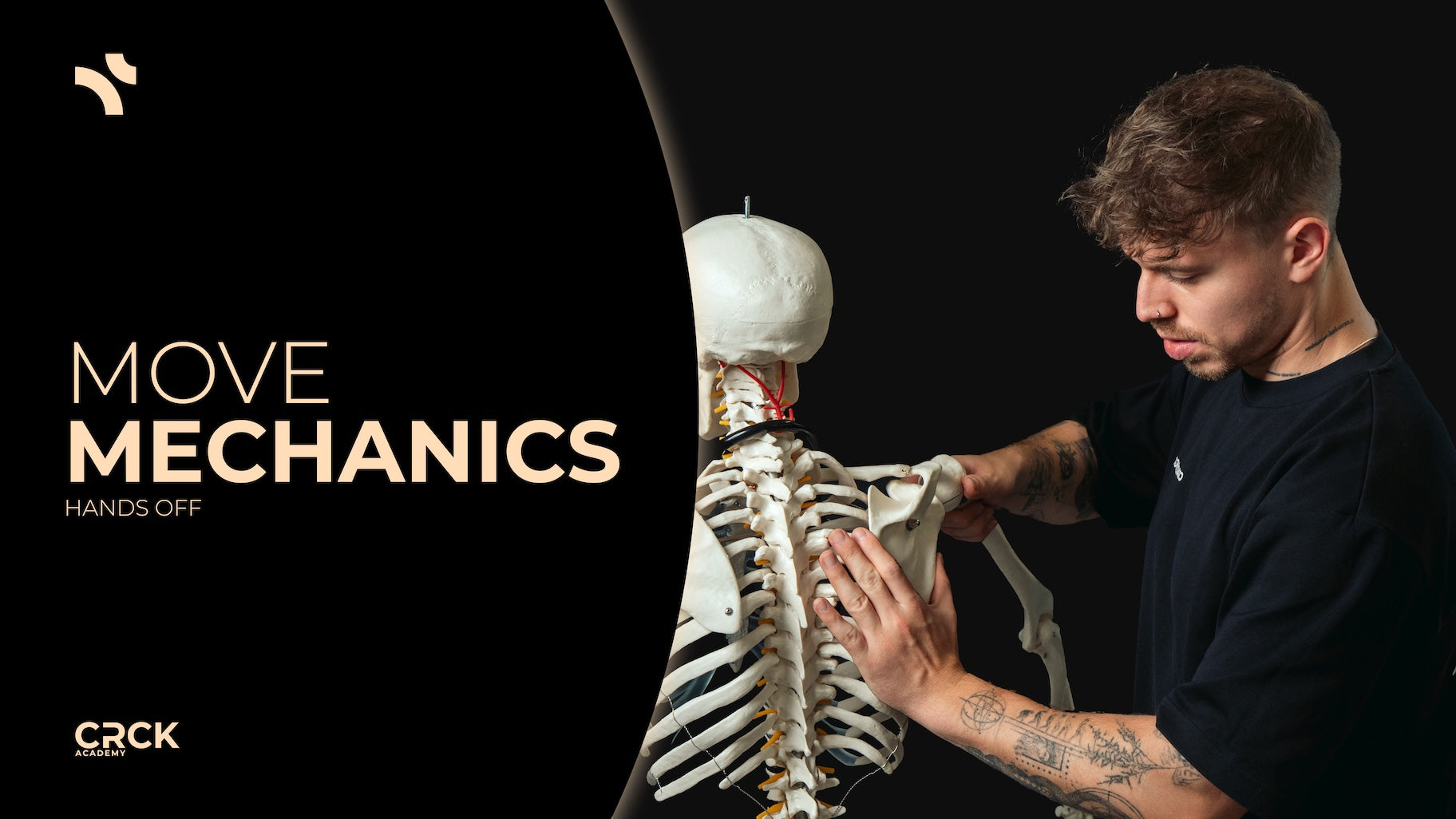 MOVE MECHANICS